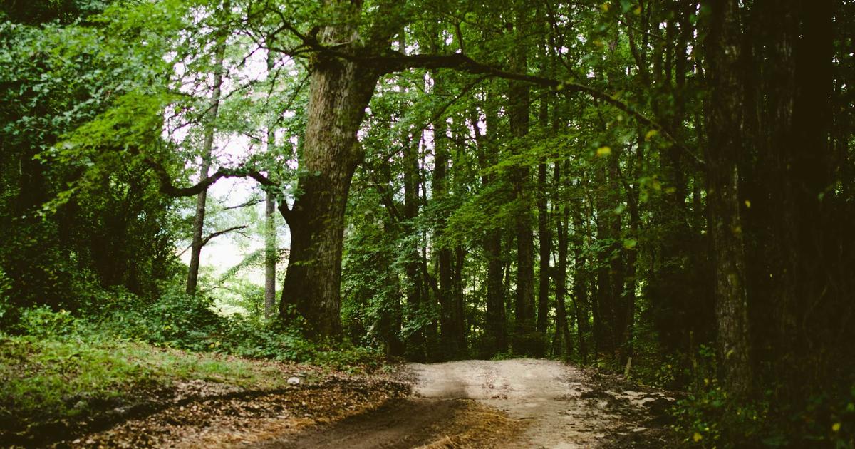 Come creare contenuti social che convertono nel settore wellness e nutrizione