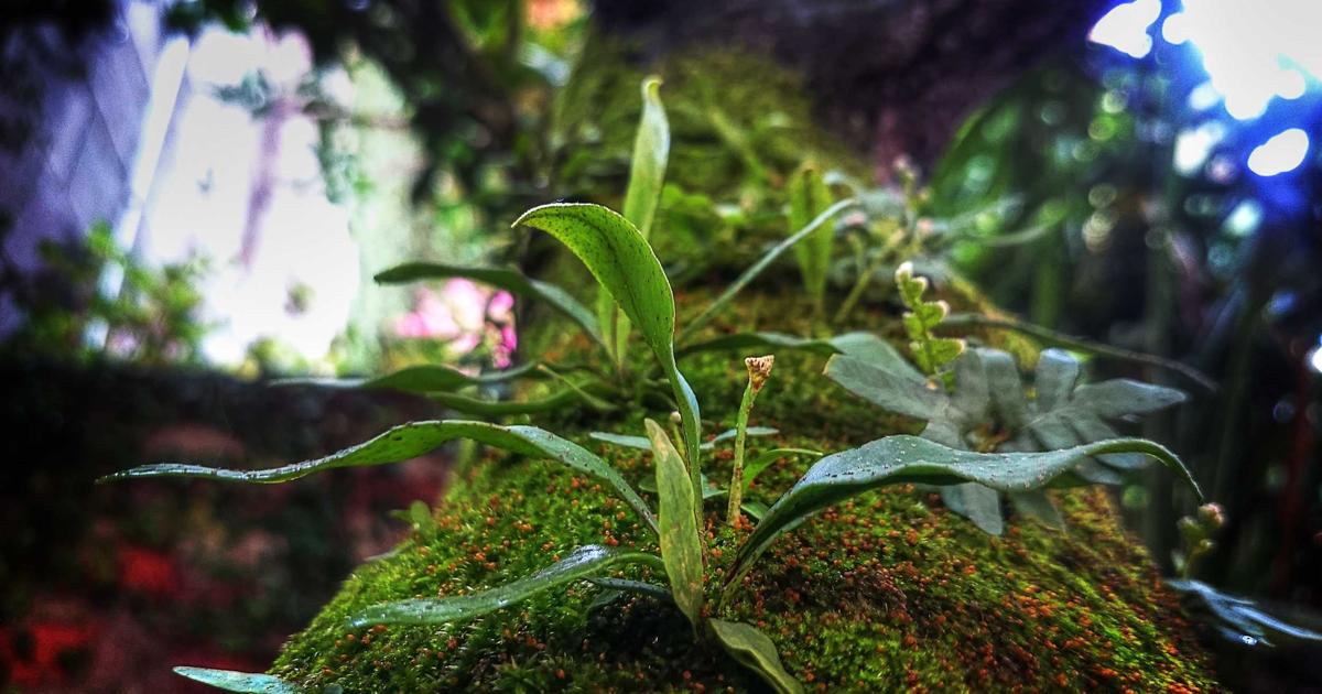 CRM per il network marketing: perché è indispensabile e come sceglierlo