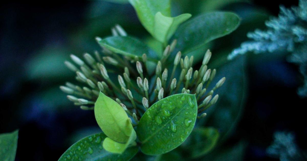 Come usare le storie di Instagram e Facebook per il network marketing