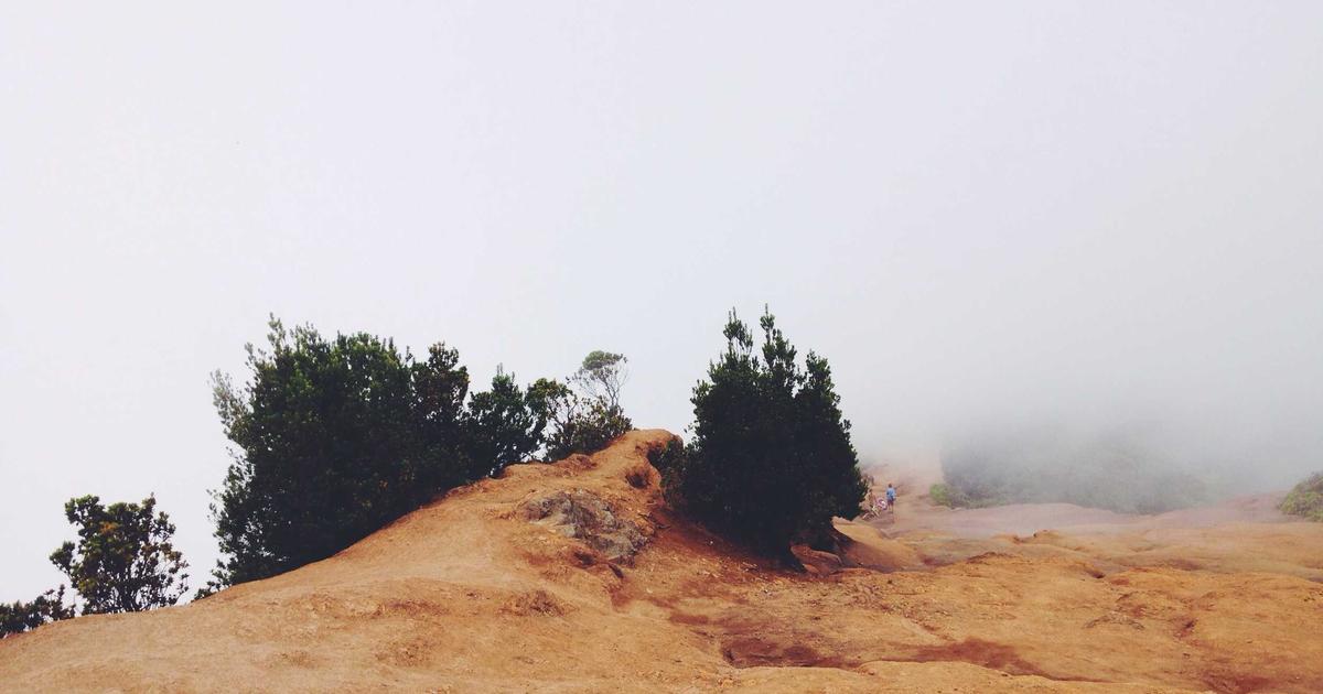 I migliori strumenti digitali per gestire il tuo business di network marketing